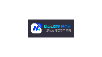 미스터블루